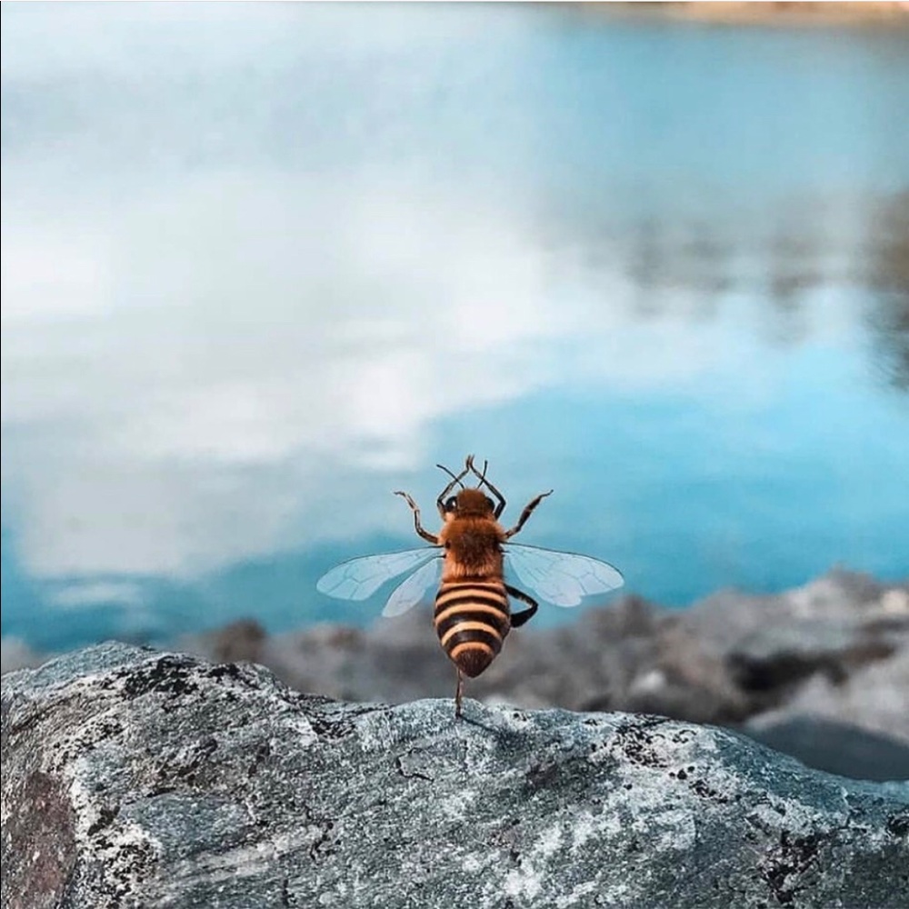 Meet your Posher, Josueyoana